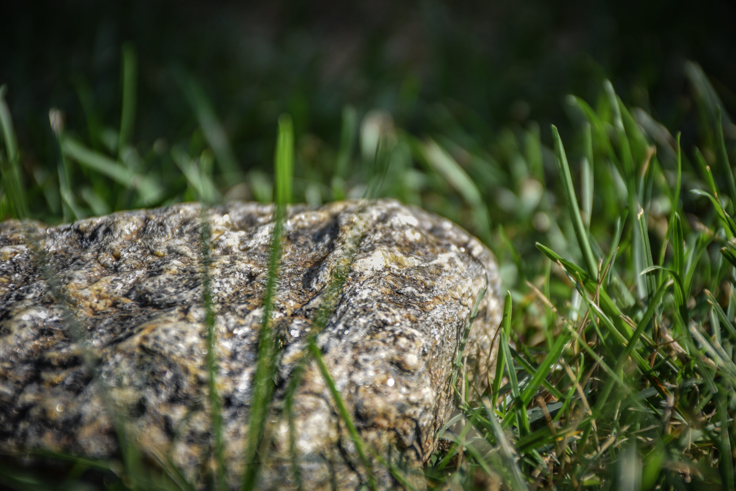 Grass Rock